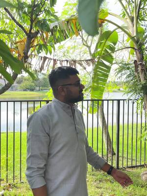 A post by @akmarsa1 on TikTok caption: കുലയ്ക്കുന്ന വാഴകൾ 🌴🤪#viralvideo#florida#kochukeralam #trendingvideo#malayali#ottakalana #entekeralam#godsowncountry #reeloftheday 