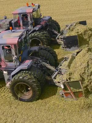 A post by @kamasu666 on TikTok caption: Two big Zettelmeyers ZD-3000 push the silage up the hill.. military equipment in the corn harvest 2023.. #military #farmtok #zettelmeyer #cornsilage #harvest #farmer #farmlife #agro #agriculture #viral #biogas #corn #big 