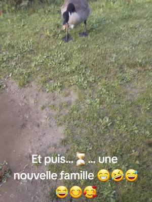 A post by @monia19091990 on TikTok caption: Et de 1, puis 2 et jamais 2 sans 3.... et la suite arrive 😊 À savourer jusqu'à la fin.