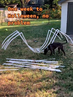 A post by @liz.the.season on TikTok caption: Procrastination, what procrastination? #halloween #halloweendiy #giantspider #halloween2023 #spookyseason #monsterhouse #halloweendecorations 