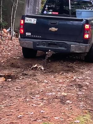 A post by @bigonski1 on TikTok caption: Ole Blue Devil put in some work. At the end I noticed a big chunk of metal from the truck. #fyp #chevy #shitbox #stumpremoval 