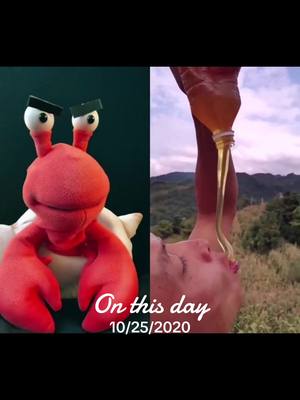 A post by @cranky_crab on TikTok caption: #onthisday #crankycrab #bee #honey