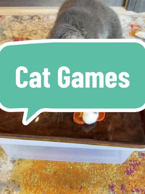 A post by @sarabohlken on TikTok caption: Cat games. #cattreats #catsoftiktok #catsarefunny