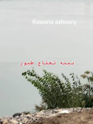 A post by @rawana..ashoury1989 on TikTok caption: #ساضيفك😭للقائمه #بنت🧕🏻العرب #ندمت #اميرة💋🍡اشور #صلاالله💋عليه💋وسلم #لحد_يندك_بيه💋😏 #اشورريه🌹🙋‍♀️وافتخر #اكسبلورexplore #اشورريه🌹🙋‍♀️وافتخر #روانه #ال #مكه #لايف💋للابد #مكه #اشورريه🌹🙋‍♀️وافتخر #اين⛵️بلدي #المدينه #اميرة💋🍡اشور