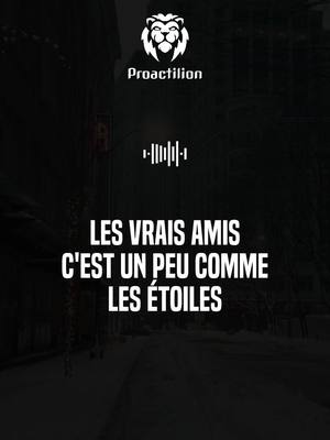 A post by @proactilion on TikTok caption: Les vrais amis, c’est un peu comme les étoiles..