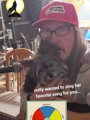 A post by @jodypipertunz on TikTok caption: #wolf#jodypiper#dogsingerlover #jodypipertunez6