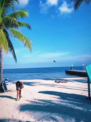 A post by @sugar_url on TikTok caption: Key West has a fascinating history! It was originally inhabited by Calusa and Tequesta Native American tribes. In 1513, Spanish explorer Juan Ponce de León visited the island. Later, it became a base for pirates and wreckers due to its strategic location. In 1822, the United States claimed Key West. During the 19th century, it thrived as a center for shipping, salvaging shipwrecks, and cigar production. Key West was Florida's largest city until the early 20th century. One of the most significant historical events was the establishment of Fort Zachary Taylor during the Civil War. It played a crucial role in the blockade of Confederate ports. Key West's most famous figure is author Ernest Hemingway, who lived there in the 1930s. The island also served as a vital naval base during World War II. Today, Key West is known for its vibrant culture, beautiful beaches, and as the southernmost point in the continental United States. It remains a place rich in history and character.  #keywest #southernmostpointkeywest #Summer #fyp #foryou #fp #saltbae #KeyWestHistory  #SpanishExplorers #PiratesAndWreckers #UnitedStatesClaim  #ShippingCenter  #ShipwreckSalvage #CigarProduction #FortZacharyTaylor #ErnestHemingway #SouthernmostPoint #BeachBabe  #SunKissed #BeachLife #SummerVibes #SandyToes #OceanLover #IslandLife #TropicalParadise  #SeasideFun #KeyWestButterflyExhibit #ButterflyLovers #NatureWonders #TropicalParadise #FlutteringBeauty #ColorfulInsects #WingsOfWonder #GardenOfButterflies #ExploreNature #InsectWorld #quail #flamengo 