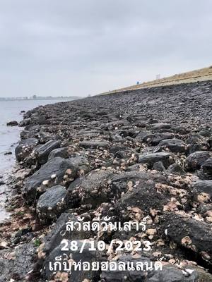 A post by @rungthiwaphuangrahong on TikTok