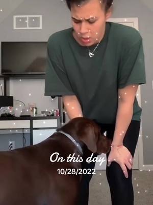 A post by @ashtongurnari_fanpage on TikTok caption: I can’t believe this was one year ago today! Thank you so much everyone for the love on this video! Im so thankful! I’m still shocked it blew up haha 