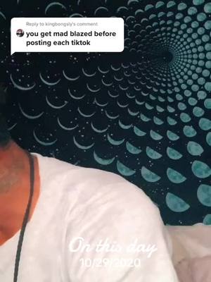 A post by @_chaotichyena on TikTok caption: naw thats still a lie #onthisday #dammitdennis #chaotichyeana  #420positive #answers #comments #funny #jokes 