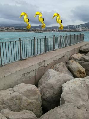 A post by @casanostra113 on TikTok caption: #marseille #europe #france #ocean #pourtoi #fypシ #fy #foryou #tiktoklongs #foryoupage #explorer #explor @casanostra @casanostra @casanostra