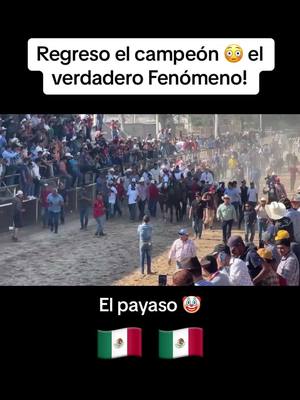 A post by @racingcm07 on TikTok caption: Que emocion mirar al payaso depues de tanto tiempo 🇲🇽❤️ un verdadero guerrero #horseracing #carrerasdecaballos #foryou #parati #fyp #losalamitosracetrack #viral #satevoracetrack🔥🏇🍀 #elpayaso #CMracing #texasracing #california #mexico #jockey #parati 