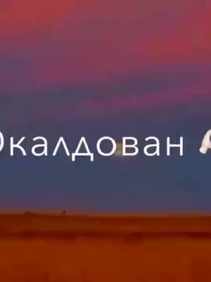 A post by @mister.o7o7 on TikTok caption: вобщем нет актива 😣 эхх... можно актива пж тик ток( [20:44]#🌝💫🖤🎧 #р🖤е🖤к🖤о🖤м🖤е🖤н🖤д🖤а🖤ц🖤и🖤и