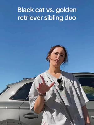 A post by @sierralyon on TikTok caption: @Paulette Lyon #sister #sisterduo #duo #opposites #sisterlove #blackcatgoldenretrieverfriendship #trendingsong #trending #viral #viralvideo #littlesister #bigsister #bigsisterlittlesister #idowhatiwant #fyp #foryou #foryoupage #rollofthedice #drake #idgaf #idgaffam #lol #cute #parkinglot