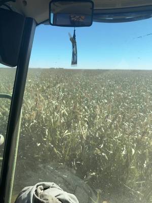 A post by @lukemitch650 on TikTok caption: Getting through it now 🌾💨 #johndeere #robinsonfarms #texasfarming #9900i #sorgham