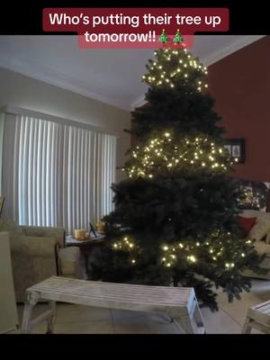 A post by @christmaseveryday03 on TikTok caption: Christmas season!!!! #christmas #christmastree #christmaslights #christmasseason #christmas2023 