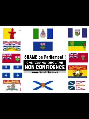 A post by @maggiedingman on TikTok caption: Shame on Parliament, Canadians declare non-confidence. #Civis4Reform