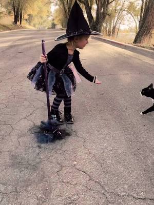 A post by @kjeffs4 on TikTok caption: POV: When you’re taking photos of your spooky little witch, and a stray black cat walks up and joins in on the magic! 🐈‍⬛ #pov #halloween #witch #fypシ #blackcat #magical #foryoupage #kidsoftiktok #catsoftiktok 