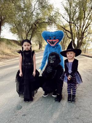 A post by @kjeffs4 on TikTok caption: Halloween with the spookiest boos and ghouls! #halloween #witch #wednesdayaddams #huggywuggy #gorilla #fyp #blackcat 