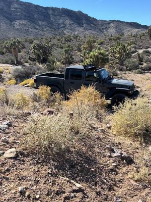 A post by @cometrailwithus on TikTok caption: Saw a dirt road andddd #wentforit #fy #jeeplife #jeepgirl #jeepgladiator #mysoul #neededthis #cartok