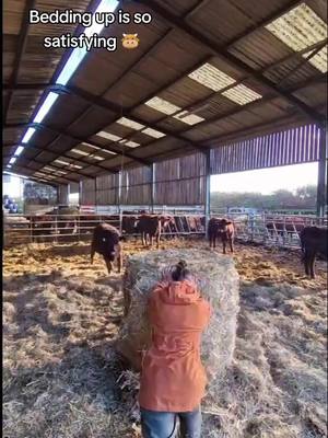 A post by @harriette240 on TikTok caption: Sunday funday 🤪 #farminguk #farmersdaughter #womeninag #farmher #backbritishfarming #fyp #foryoupage @RidgelineClothingUK