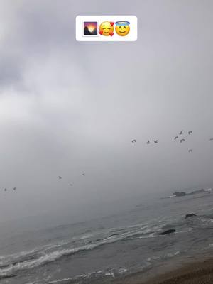 A post by @milanprz8 on TikTok