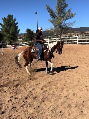 A post by @tattedd0llface on TikTok caption: Theyre already Taking Notes 😅💯 #rodeomom #gymkhana #barrelracersmom #mykidisfire #stophating #takenotes