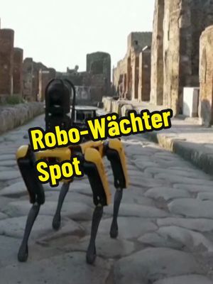 A post by @_byte_beats_ on TikTok caption: Spot, der Roboter-Hund von Boston Dynamics, schnüffelt durch  Pompejis Ruinen, scannt Tunnel, spürt Grabräuber auf und  wird dabei von einem autonomen Laserscanner aus der Luft  unterstützt. Mit fortschrittlicher Technologie bewacht und  erforscht er eines der weltweit faszinierendsten  archäologischen Gelände. #RoboSpot #Pompeji #Archäologie #BostonDynamics #roboter #HighTechGeschichte #AntikeWelten #techtok 