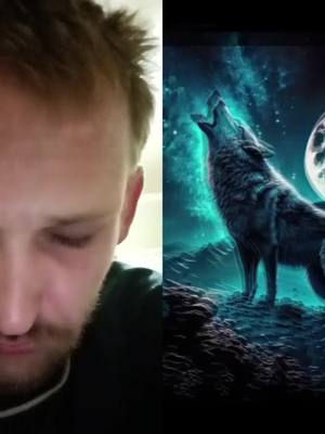 A post by @phoenixjeffrey on TikTok caption: #duet with @🐺Wolfie🐺 #SAMA28 #fyp #fypシ I was kind before now face the beast inside me 