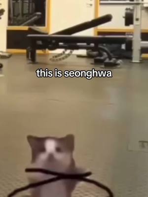 A post by @cinniminniatiny on TikTok caption: pls tell me u know the vid of him with the jump rope, bro he was eating that up #seonghwa #parkseonghwa #ateez #ateezseonghwa #hwa #mars #cat #kpop #jumprope 