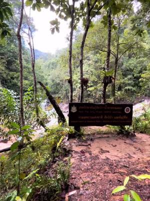 A post by @xblondix_ on TikTok caption: Waterfall Thailand 💦🇹🇭 #thailand #krabithailand #vacation #tajlandia #beautiful #summervibes #waterfall #phraethailand 