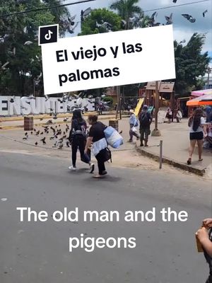 A post by @milton_vlogs on TikTok caption: old man feeding pigeons in the park ##turismoelsalvador🇸🇻 #miltoncantarero #reflexiones #reflexion #travel #otoñoaesthetic #otoñooutfits #Otoño #miltoncantarero