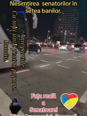 A post by @c0rbul on TikTok caption: #🇷🇴româniațaramea🇷🇴 #ro #rom #romania🇷🇴 #amintire #ceausescu #ceausescule_iesi_sa_vezi_ce_am_ajuns #iubire #constanta #cluj #iasi #focsani #oradea #bucuresti #bucrestiromania