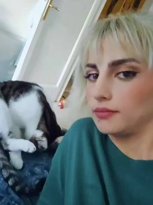 A post by @takararoma on TikTok caption: Stay toxic & annoy your cat ☠️ #catvideos 