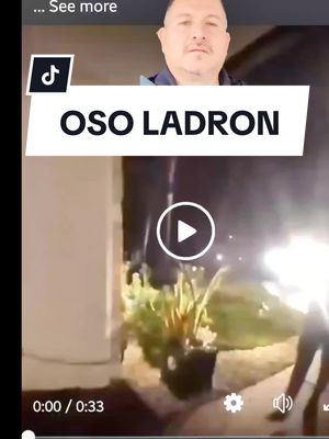 A post by @milton_vlogs on TikTok caption: #CapCut terrorifico Oso se roba la comidad de una familia ##oso #animal #osos #miltoncantarero #Otoño #terror #terrorifico