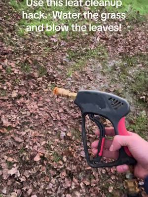 A post by @dlb21racing on TikTok caption: Im a genius🤓☝️ #fallleaves #leafblower #leafcleanup #pressurewasher #LifeHack #hack #fyp 