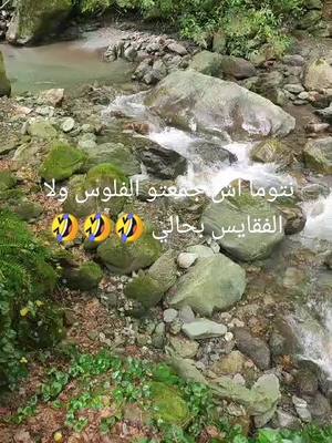 A post by @fatima.italia0 on TikTok caption: اش جمعتو 🤣🤣#المغرب #السعودية #الجزائر #تونس #ليبيا #ايطاليا#الشعب_الصيني_ماله_حل😂😂 #italy #explorepage #tiktok #foryoupage #fyp #foryou #explorer #explorepage #pourtoii @mehdi96 🕊 @🦋الفراشة 🦋 @سع👑اد