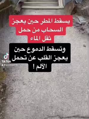 A post by @purehearrtt on TikTok caption: #fyp #fypシ゚viral #explore #اكسبلور #شعر #فوريو_العرب #حب ##حبيب 