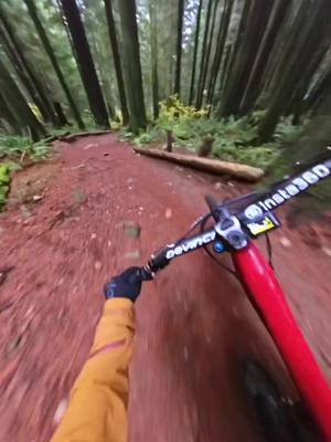 A post by @ddangerousddave on TikTok caption: Braap! Feels good to be back on the bike after being sick with covid. Shot on the @insta360_official X3 using the new horizontal action mount #Insta360X3 #Insta360MTB #Insta360