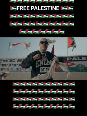 A post by @rappel_isllam___ on TikTok caption: #freepalestine🇵🇸❤️ #pourtoi #MrcaponeE 