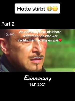 A post by @cobra_fan_girl11 on TikTok caption: #erinnerung 