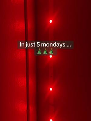 A post by @christmaseveryday03 on TikTok caption: #christmas #christmascountdown #christmas2023 #snow #christmaslights 