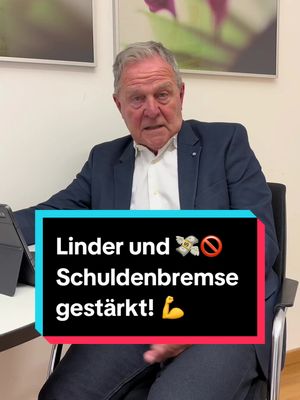 A post by @wolfgang.heubisch on TikTok caption: #Lindner und #Schuldenbremse gestärkt! Das #Bundesverfassungsgericht hat mit diesem #Urteil dem Finanzminister eine Steilvorlage gegeben. 💪