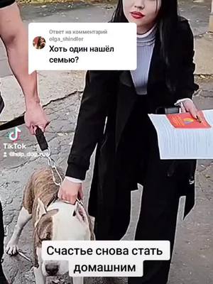 A post by @help_dog_ru on TikTok caption: Ответ пользователю @olga_shindler 