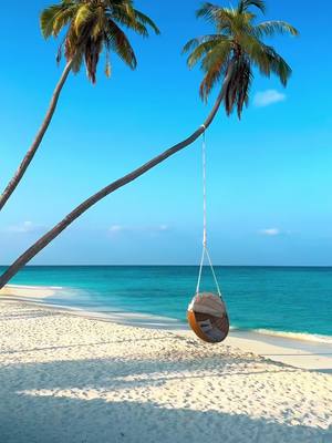 A post by @jetset_anna on TikTok caption: TAG someone who you would love to share this swingseat with 🫶🏽 #maldives #travel #tiktoktravel #travelguide #traveltip #luxurytravel #indianocean 💙