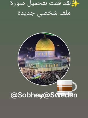 A post by @sobheysweden on TikTok