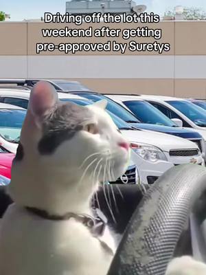 A post by @suretys on TikTok caption: Zero credit or thin credit? Suretys can get you pre-approved for an auto loan — and at a competitive rate. Go to Suretys.com now! #car #cars #carsoftiktok #autoloan people #Meme #MemeCut #michigan #fyp 