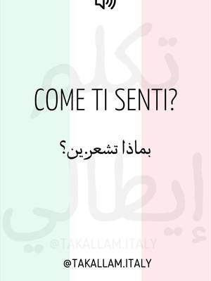 A post by @takallam.italy on TikTok caption: جملة اليوم 🇮🇹 COME TI SENTI? 🇸🇦 بماذا تشعر.ين؟ 🇬🇧 How do you feel? 🇫🇷 Comment vous sentez-vous? #الإيطالية_للمبتدئين #تعلم_الإيطالية #اللغة_الايطالية