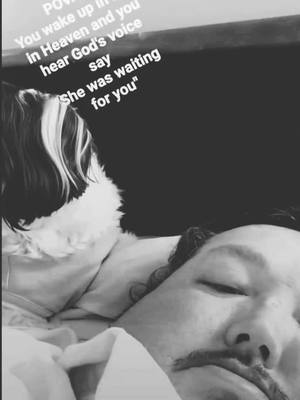 A post by @stevenlaw16 on TikTok caption: LuluBelle Baby left us on August 29th 2021 and it still feels like yesterday. The hurt is too much to bear at times. She wasn't a dog or a furbaby to us.. She literally was our daughter. Hold my spot Baby, Daddy will be there soon. #gonetoosoon 