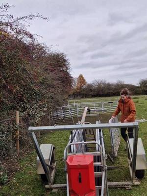 A post by @harriette240 on TikTok caption: 👌 #sheeprace #shepherdess #farmher #timelapse #livestock #farminguk #farminggirl #backbritishfarming #fyp @RidgelineClothingUK